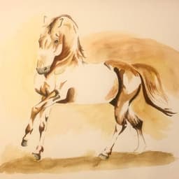 Illustrationer/målningar säljes